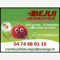 BEJUI COMBUSTIBLES